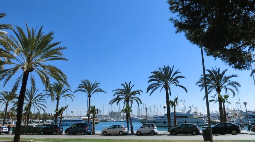 Paseo Maritimo 1